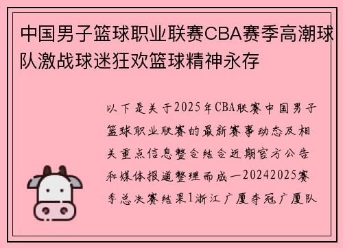 中国男子篮球职业联赛CBA赛季高潮球队激战球迷狂欢篮球精神永存